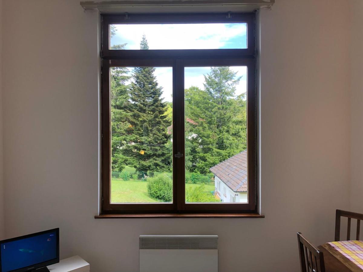 Apartamento Loft Mon Soleil Le Hohwald Exterior foto